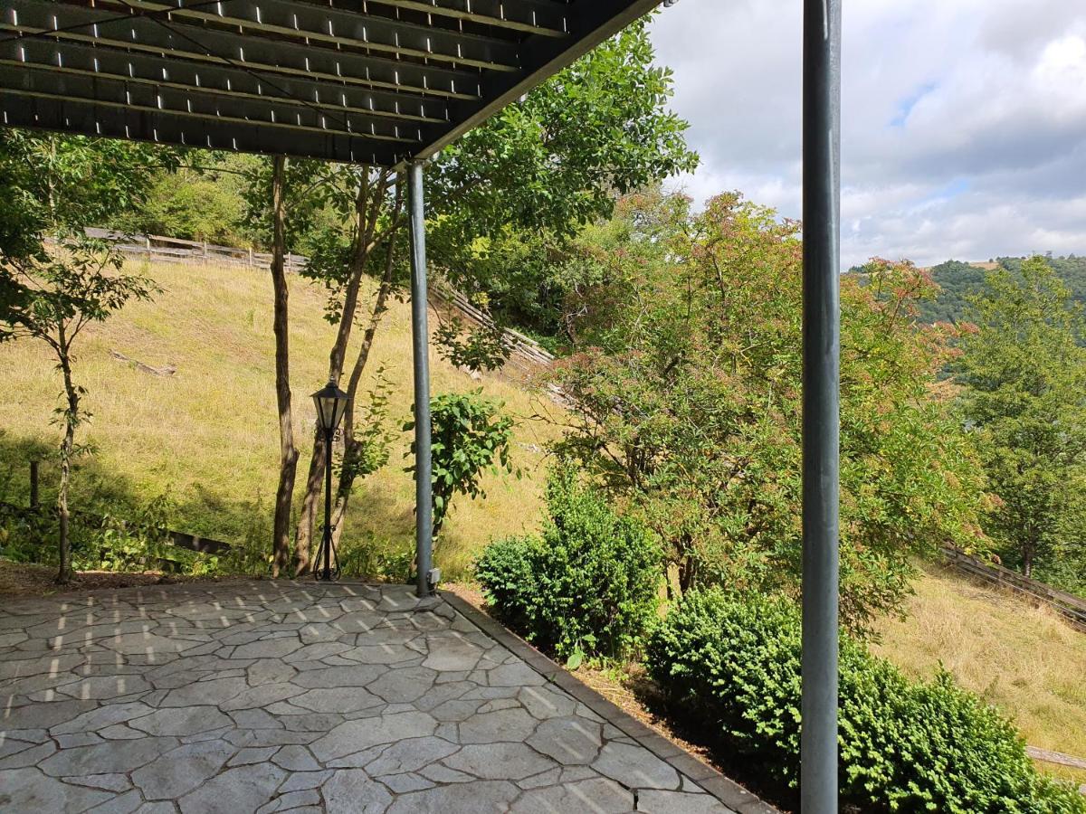 River Mosel Holiday Homes, Meerfeld Studio With A Lake View エクステリア 写真