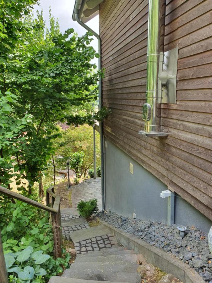 River Mosel Holiday Homes, Meerfeld Studio With A Lake View エクステリア 写真