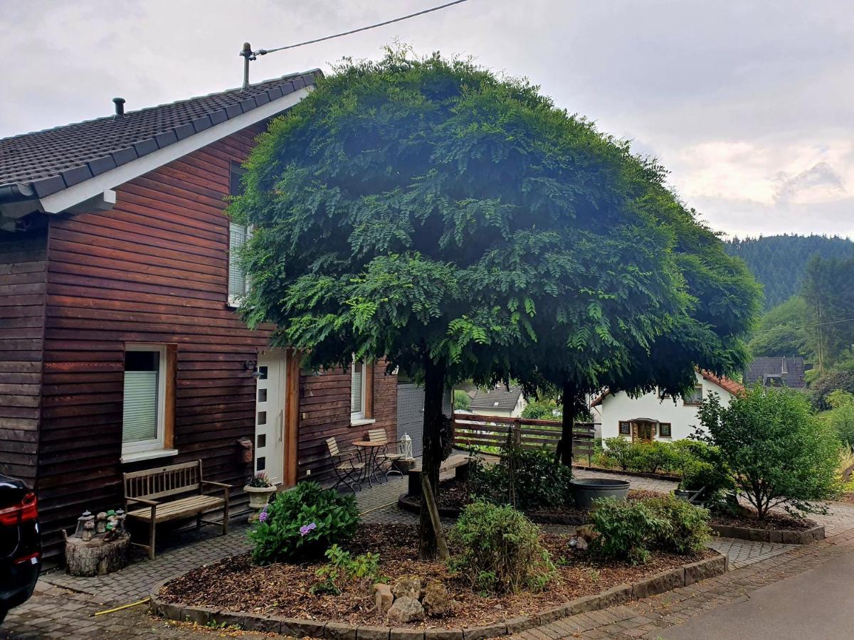 River Mosel Holiday Homes, Meerfeld Studio With A Lake View エクステリア 写真
