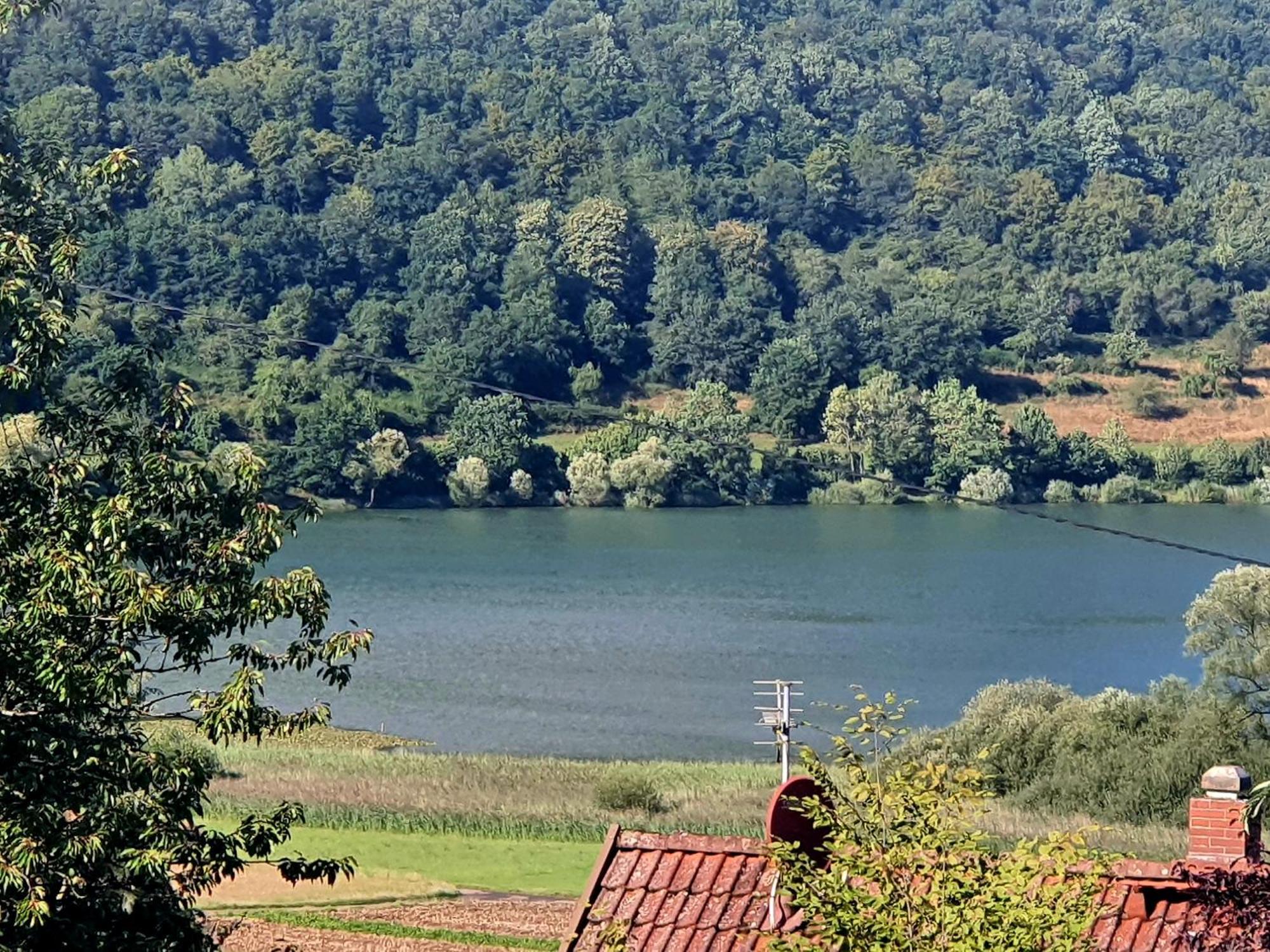 River Mosel Holiday Homes, Meerfeld Studio With A Lake View エクステリア 写真